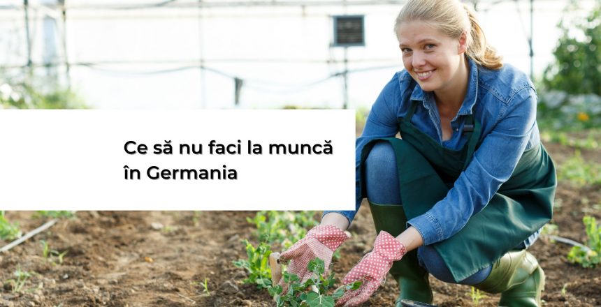 muncă în Germania